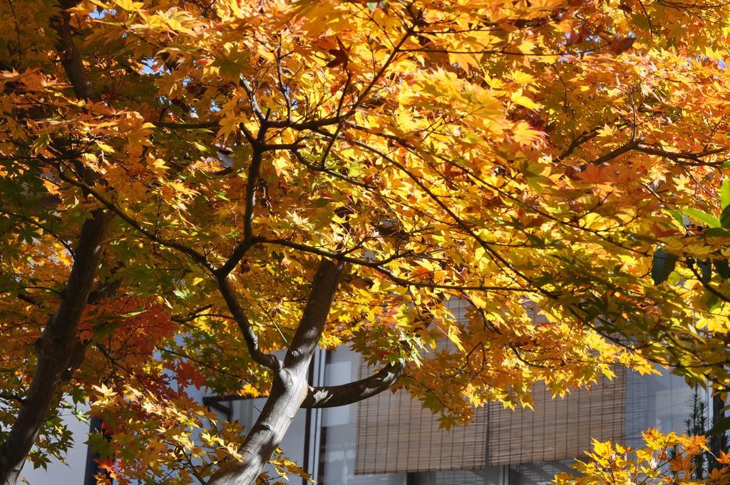 Hôtel Yudanaka Yumoto à Yamanouchi  Extérieur photo